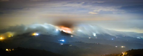 DianoFogNight (3 of 1)