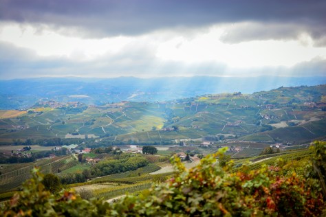 lamorrahillside3-36-of-1