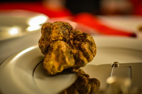 giriwhitetruffle-36-of-1