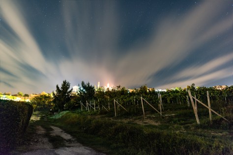 49111737318_1a9b820d8f_o